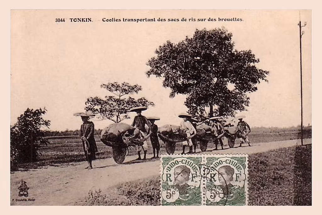 Vận chuyển gạo bằng xe rùa trên đường cái.