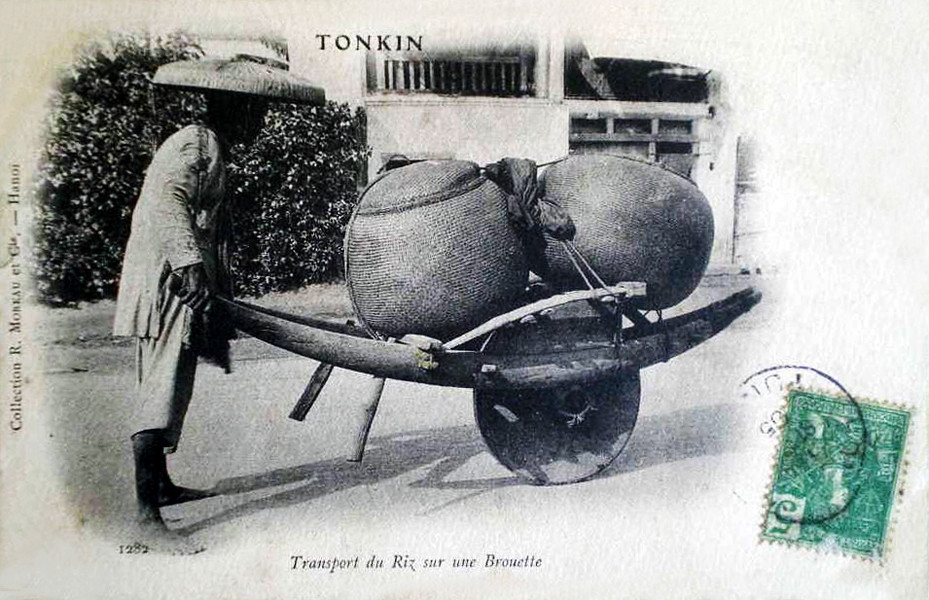 Chở gạo bằng xe rùa. 