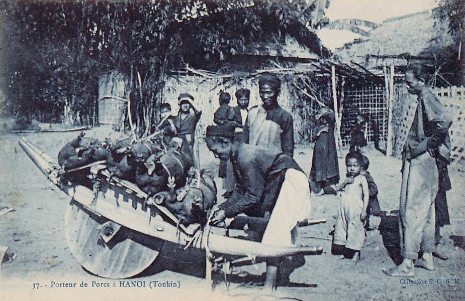 Vận chuyển lợn bằng xe rùa ở Việt Nam xưa. Loại xe này còn được gọi là xe bù-ệt, dựa theo cách gọi của người Pháp là la brouette.