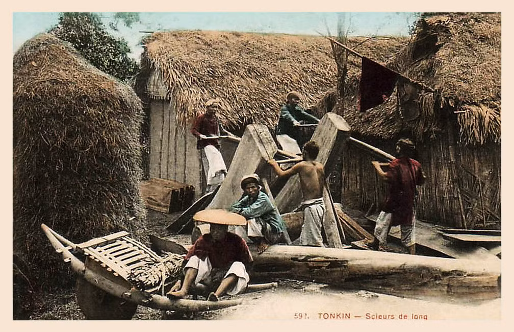 Xe rùa tại một xưởng cưa xẻ gỗ.