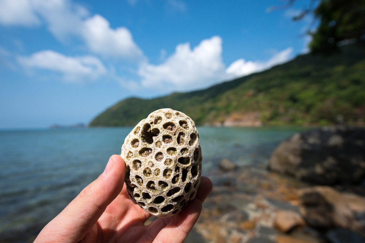 Khám phá thiên nhiên Côn Đảo. Ảnh: Nicolas Michaelis / 500px.com.
