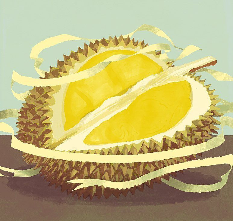 "Nghe tới đây vị giáo chủ sửng sốt và hết lời ca ngợi, ông dùng rất ngon miệng. Thế nhưng, trái này ngon đến độ ngay ở Malacca là nơi sản sinh, nhiều khi giá lên tới một đồng “êcu” một trái...".