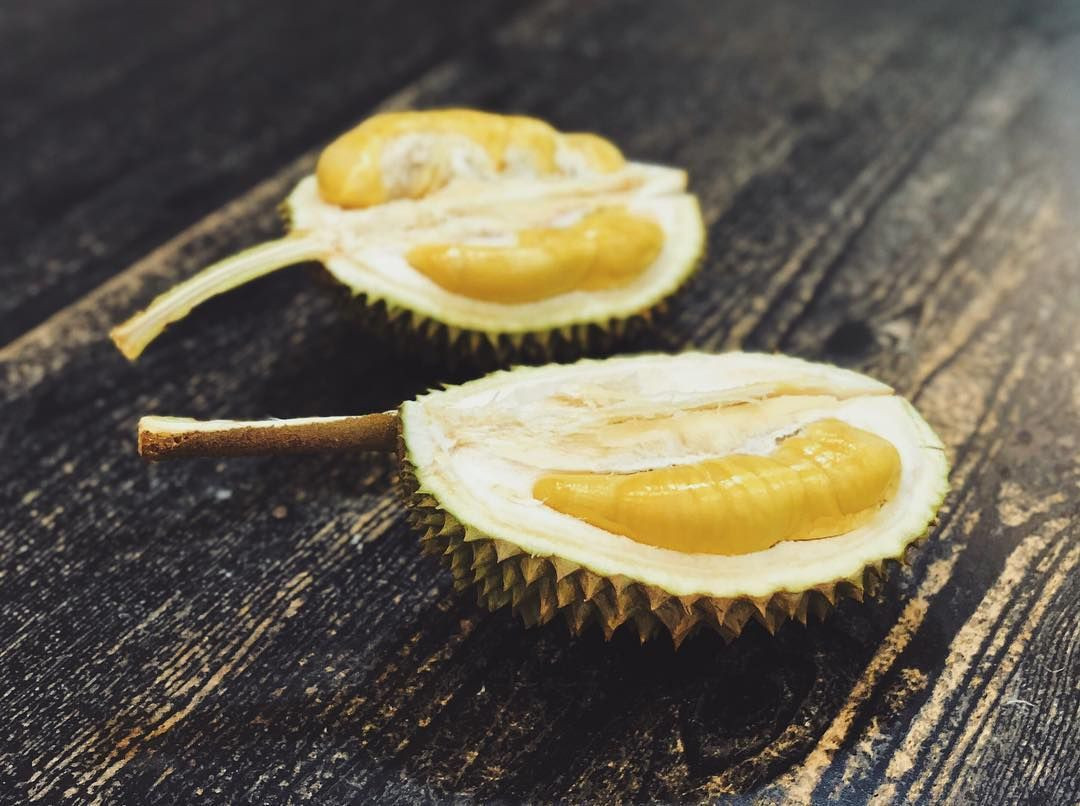 "Tôi kể ở đây một câu chuyện xảy ra trước mắt tôi. Số là có một người muốn cho một giáo sĩ cao cấp mới tới Malacca thưởng thức thứ trái này và không báo trước. Ông mở một trái ngay trước mặt vị giáo chủ...".