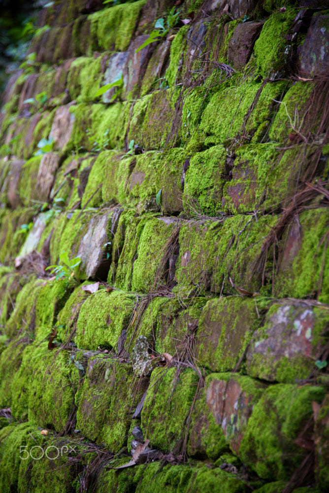 Rêu phong trên tường đá ở nơi an nghỉ của vua Tự Đức. Ảnh: Roland W. Kunz / 500px.com. Mời quý độc giả xem video: Đẹp ngỡ ngàng kiến trúc nhà vườn Huế. Nguồn: VTC10.