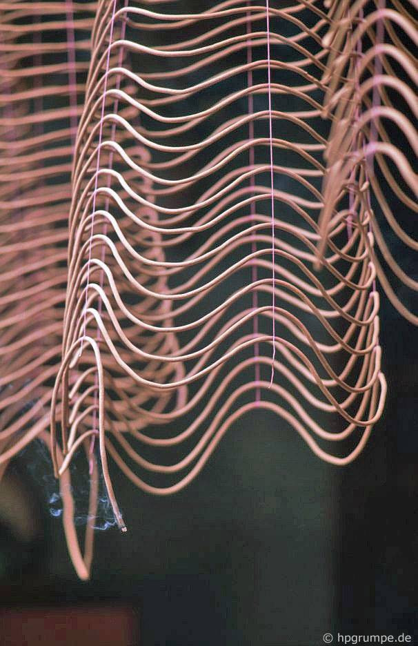 Chùa Bà Thiên Hậu hàng ngày đón tiếp những người đến cúng lễ khá đông, nhưng đông hơn là vào các ngày mùng Một và Rằm hàng tháng, các ngày lễ Tết trong năm. Mời quý độc giả xem video: Săn hàng độc tại chợ “đồng nát” Sài Gòn. Nguồn: VTC16.