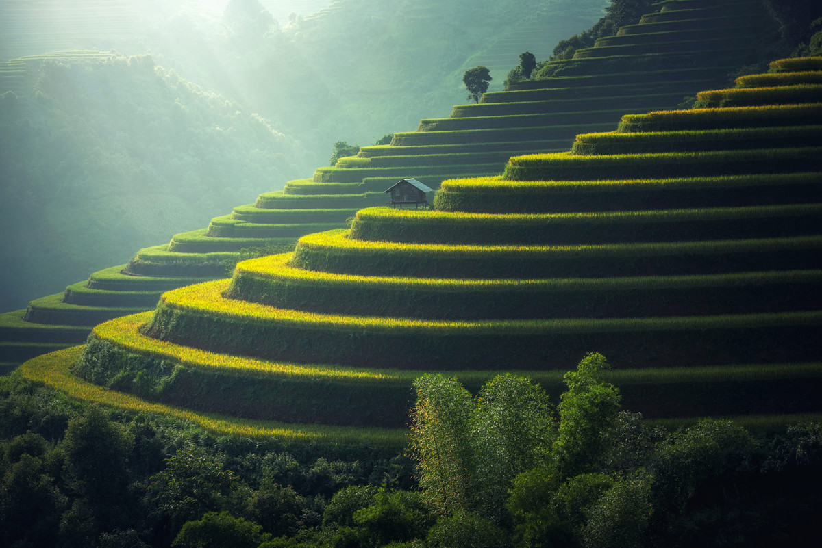 Ngôi nhà nhỏ trên ruộng bậc thang Mù Căng Chải. Ảnh: Sasin Tipchai / 500px.com.