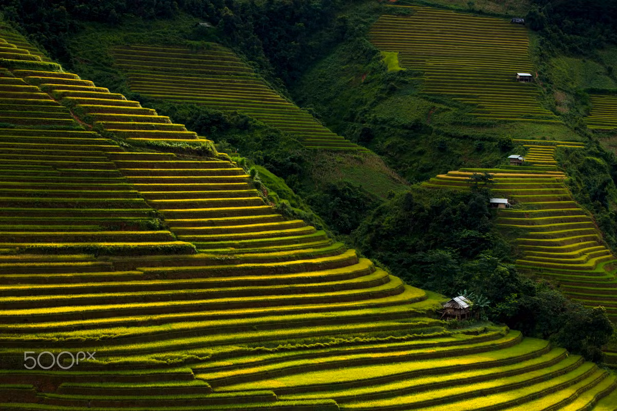 Trên một triền dốc. Ảnh: Bill Vorasate / 500px.com.