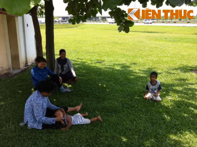 Nhiều gia đình giữa trưa đưa con nhỏ ra thảm cỏ có bóng mát để ru ngủ vì không chịu nổi cái nóng hầm hập trong nhà.