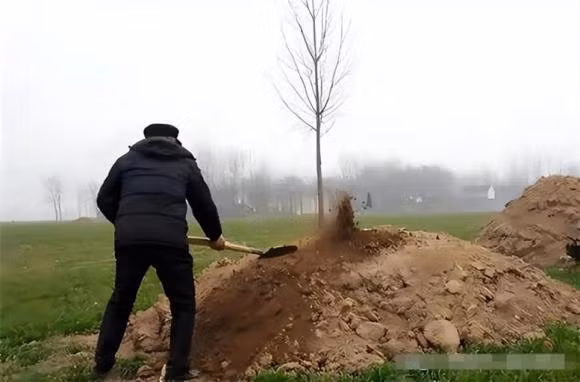 4 quy tac khi tao mo Tet Thanh minh de duoc may man-Hinh-3