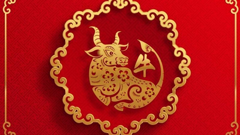 Đặc biệt, từ giữa tuần trở đi, tài năng lãnh đạo của tuổi Sửu sẽ tỏa sáng, thu hút sự chú ý và đánh giá cao từ cấp trên cũng như đồng nghiệp. Về tài chính, tuần này mang đến cơ hội kiếm thêm thu nhập thông qua các khoản đầu tư hoặc hợp tác kinh doanh. 