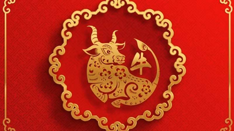 Đặc biệt, từ giữa tuần trở đi, tài năng lãnh đạo của tuổi Sửu sẽ tỏa sáng, thu hút sự chú ý và đánh giá cao từ cấp trên cũng như đồng nghiệp. Về tài chính, tuần này mang đến cơ hội kiếm thêm thu nhập thông qua các khoản đầu tư hoặc hợp tác kinh doanh. 