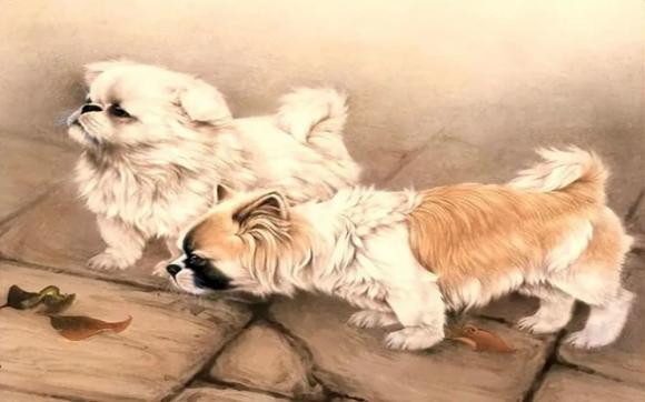 Con giáp này nhận được sự giúp đỡ từ nhiều người hơn khi làm việc và đồng thời tìm thấy nhiều cơ hội hơn, con đường kiếm tiền cũng có sự cải thiện nhanh chóng. (Bài viết chỉ mang tính chất tham khảo và chiêm nghiệm).