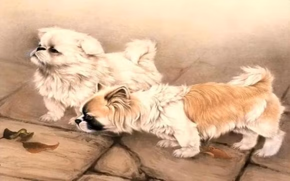 Con giáp này nhận được sự giúp đỡ từ nhiều người hơn khi làm việc và đồng thời tìm thấy nhiều cơ hội hơn, con đường kiếm tiền cũng có sự cải thiện nhanh chóng. (Bài viết chỉ mang tính chất tham khảo và chiêm nghiệm).