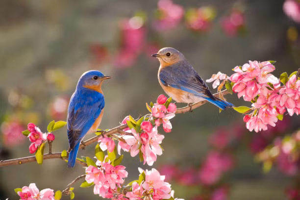 3 con giáp được trời ban lộc 10 ngày cuối năm Nhâm Dần 3 con giap duoc troi ban loc 10 ngay cuoi nam Nham Dan