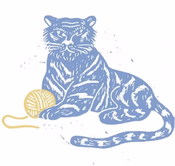 Dieu gi dang cho doi moi cung hoang dao trong nam Quy Mao 2023?-Hinh-12