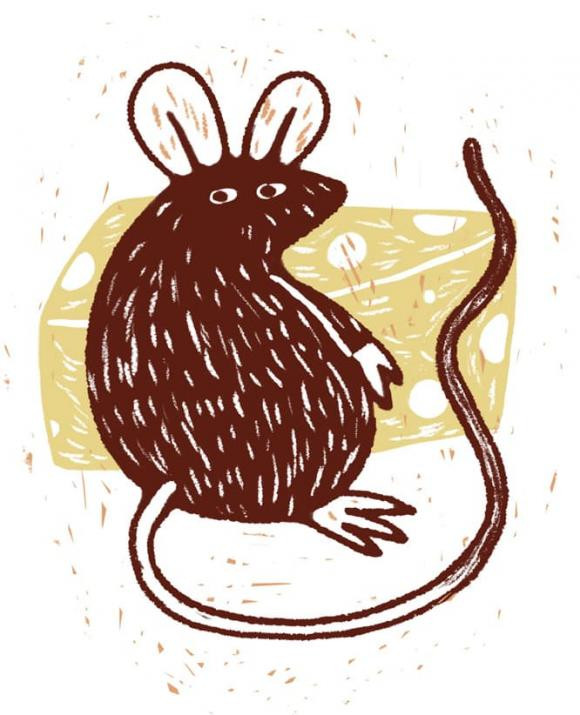 Dieu gi dang cho doi moi cung hoang dao trong nam Quy Mao 2023?-Hinh-10