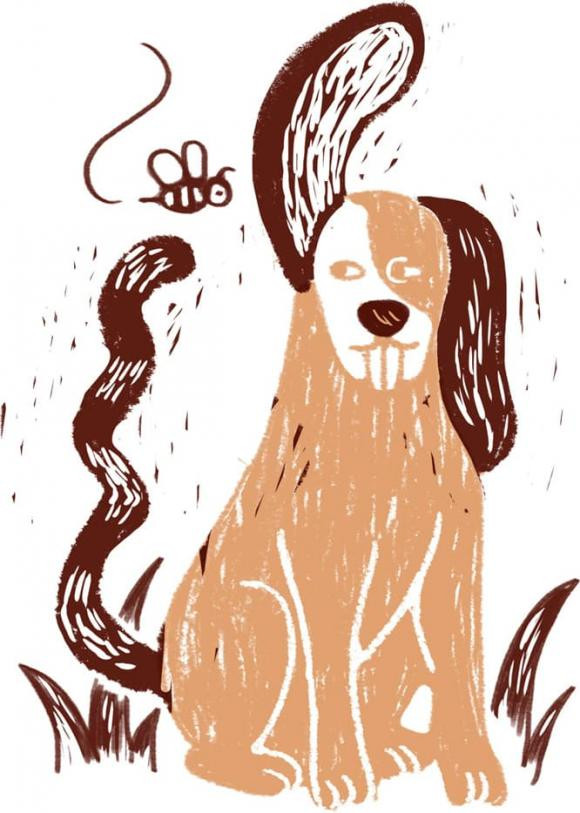 Dieu gi dang cho doi moi cung hoang dao trong nam Quy Mao 2023?-Hinh-8