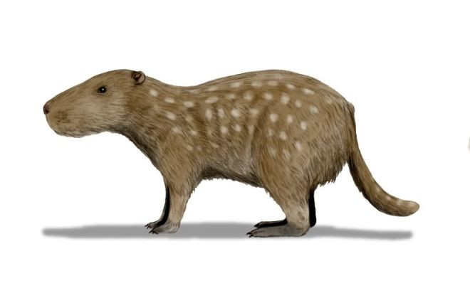 Nhung dong vat lon nhat tung song tren Trai Dat co the ban chua biet-Hinh-2