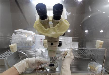 Nhân viên y tế đang thực hiện quá trình trích xuất trứng trong phòng thí nghiệm.