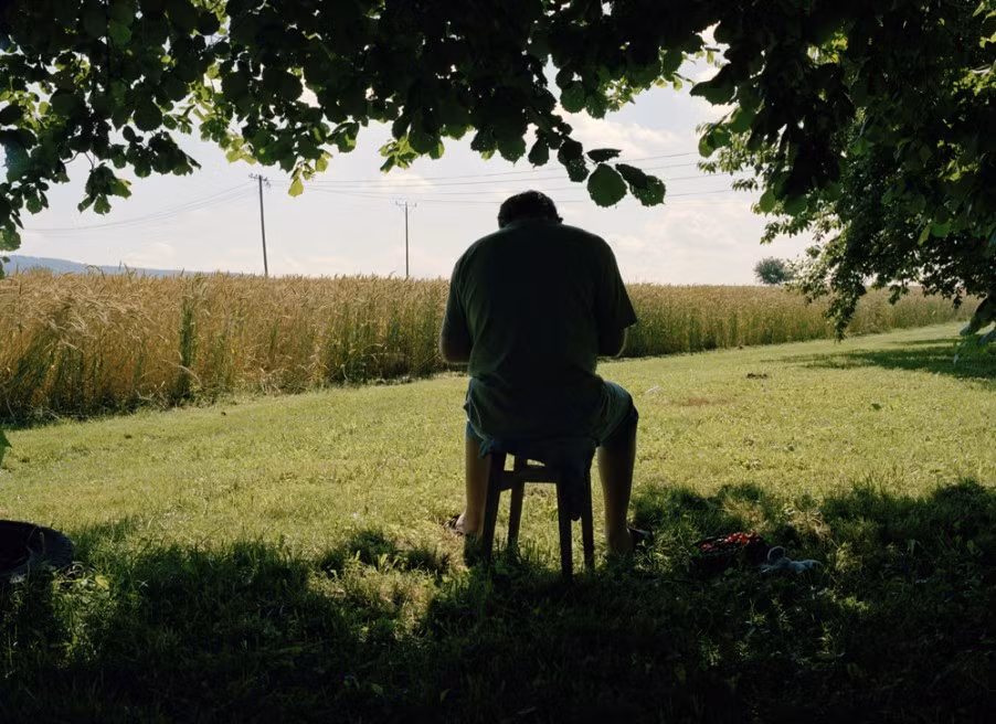 ...hay dưới bóng cây...