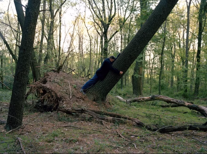 ...hay úp đầu vào thân cây trong rừng...