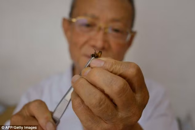 Ông Wang cho biết phòng khám của ông đã điều trị nhiều bệnh nhân với nhiều căn bệnh khác nhau như ung thư, viêm khớp, tất cả đều có kết quả tích cực.