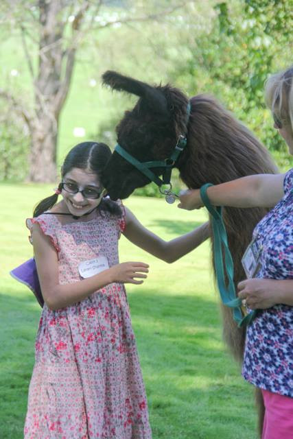 Nụ cười hạnh phúc của bé gái khi chơi đùa cùng chú lạc đà này.