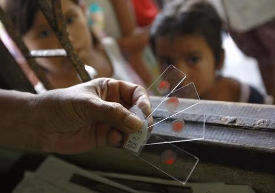 Một quan chức y tế lấy mẫu máu lấy từ các bệnh nhân để xét nghiệm tại khu vực biên giới Thái Lan – Myanmar.