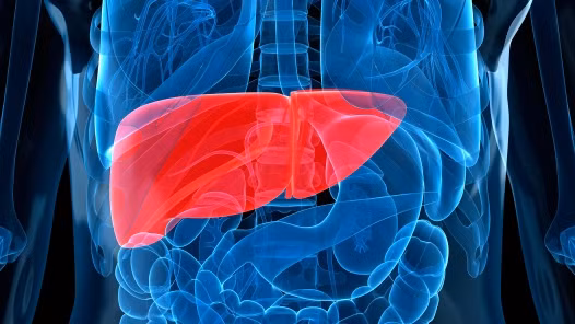 Ung thư gan và virus viêm gan C. Ở Nhật Bản, virus viêm gan C gây ung thư gan ở 75% số người mắc bệnh. Phần lớn các bệnh nhân bị viêm gan siêu vi C sẽ phát triển thành xơ gan, sau đó là ung thư gan. Thời gian trung bình của người mắc viêm gan C phát triển thành ung thư gan là khoảng 28 năm. Sau 8 – 10 năm mắc xơ gan, bệnh cũng có nguy cơ chuyển thành ung thư gan.