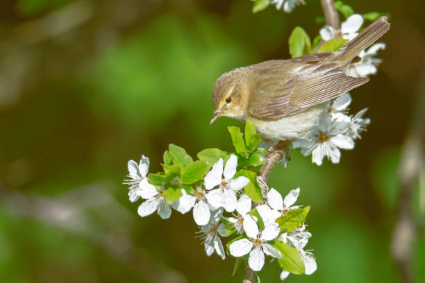 Cuối năm 2022, 4 con giáp hầu bao rủng rỉnh, đón Tết sung túc - Hình 3 Cuoi nam 2022, 4 con giap hau bao rung rinh, don Tet sung tuc-Hinh-3