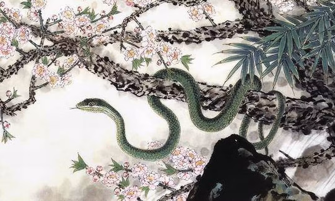 Đàn ông tuổi Tỵ một đời gặp may, tài vận cũng rất hanh thông, bên cạnh có quý nhân luôn sẵn sàng giúp đỡ, hỗ trợ, lại cộng thêm trí tuệ và năng lực nên thường thuộc nhóm nhân lực tinh anh, ưu tú nhất, kiếm tiền giỏi nhất.