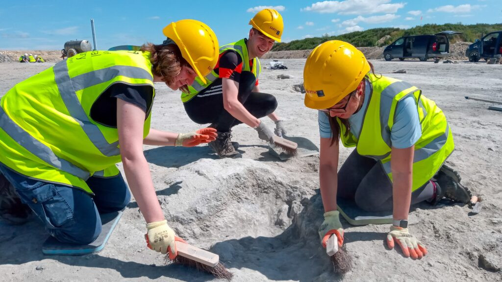 Nhưng điều đặc biệt ở quái thú Transylvania là nó phá vỡ cái gọi là "quy tắc đảo" trong thế giới sinh vật. Hațeg là một hòn đảo khiêm tốn nên lẽ ra các sinh vật sống ở đó phải nhỏ bé hơn động vật cùng dòng họ ở lục địa.