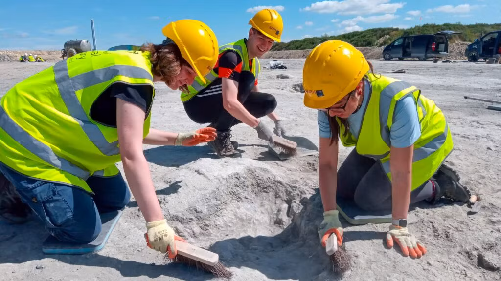 Nhưng điều đặc biệt ở quái thú Transylvania là nó phá vỡ cái gọi là "quy tắc đảo" trong thế giới sinh vật. Hațeg là một hòn đảo khiêm tốn nên lẽ ra các sinh vật sống ở đó phải nhỏ bé hơn động vật cùng dòng họ ở lục địa.