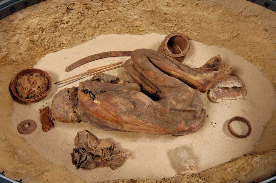 Một xác ướp 5.600 năm tuổi với tình trạng bảo quản gần như hoàn hảo đang đặt ra những câu hỏi mới về lịch sử của kỹ thuật ướp xác trong nền văn minh Ai Cập cổ đại.