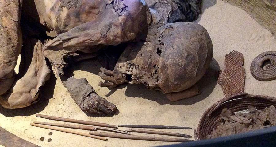 Nếu điều này được xác nhận, nó sẽ làm thay đổi đáng kể những hiểu biết hiện có về sự phát triển của nền văn minh Ai Cập cũng như quan niệm của họ về cái chết và thế giới bên kia.