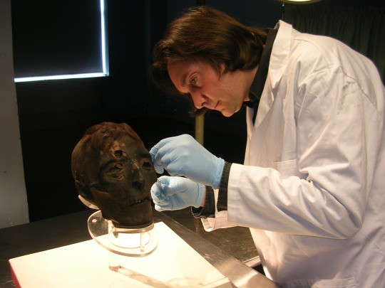 Tiến sĩ Jana Jones, một nhà Ai Cập học tại Đại học Macquarie (Úc) và cũng là đồng tác giả của nghiên cứu, trước đây từng tìm thấy dấu vết hóa chất ướp xác trên các mảnh vải liệm từ cùng thời kỳ của Fred nhưng ở một địa điểm khác.