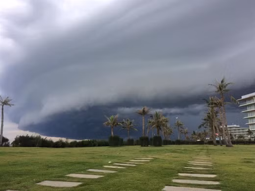 Sung sot may hinh thu ky la xuat hien o Sam Son-Hinh-10