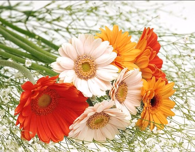 Cuoi 2022: 3 con giap thoi co den can khong kip, muon gi duoc nay-Hinh-2