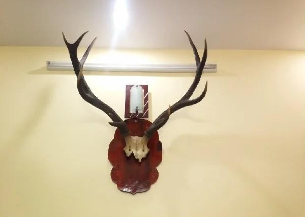 6 mon do de phong khach Than Tai quay lung-Hinh-5