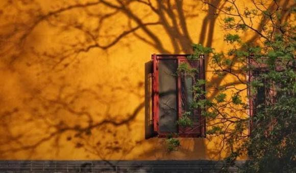 Chac chan noi voi con ban ve 4 dieu quan trong trong cuoc song