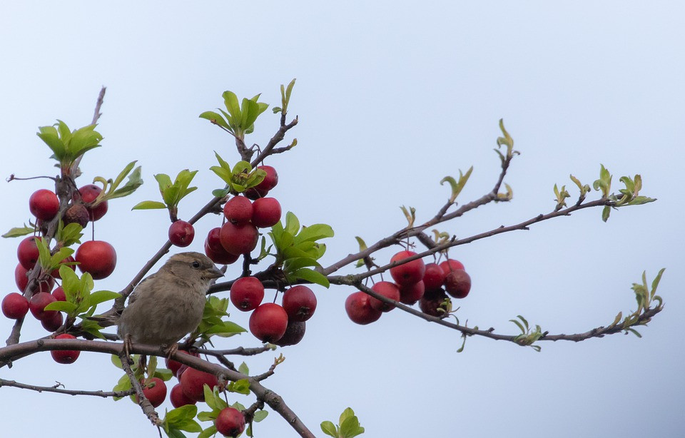 Thang sinh Am lich cua nguoi tu tin, hoat bat, lam viec hieu qua-Hinh-3