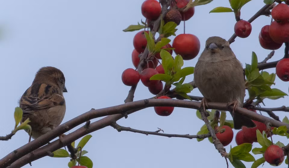 Thang sinh Am lich cua nguoi tu tin, hoat bat, lam viec hieu qua