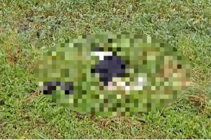 Xác minh vụ xe máy tông nam công nhân tử vong rồi bỏ chạy - 1