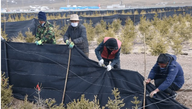 Thành phố nghìn năm không trồng nổi 1 cây xanh ảnh 4 Thành phố nghìn năm không trồng nổi 1 cây xanh ảnh 4