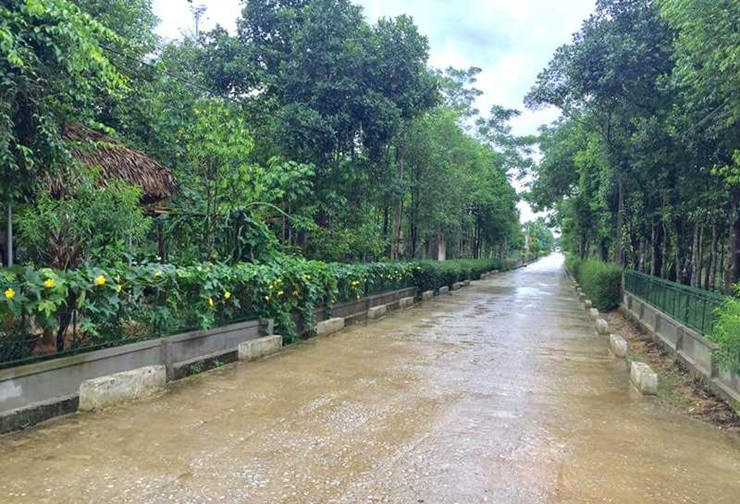 Ngoi lang Viet Nam truoc ngheo doi, nay thu nhap tang gan 8 lan-Hinh-6