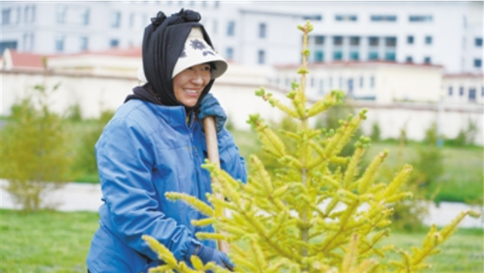 Thành phố nghìn năm không trồng nổi 1 cây xanh - Hình 5 Thanh pho nghin nam khong trong noi 1 cay xanh-Hinh-5