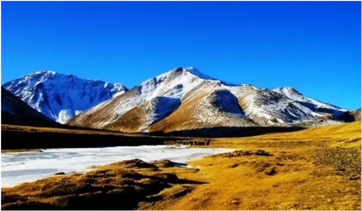 Thành phố nghìn năm không trồng nổi 1 cây xanh Thanh pho nghin nam khong trong noi 1 cay xanh