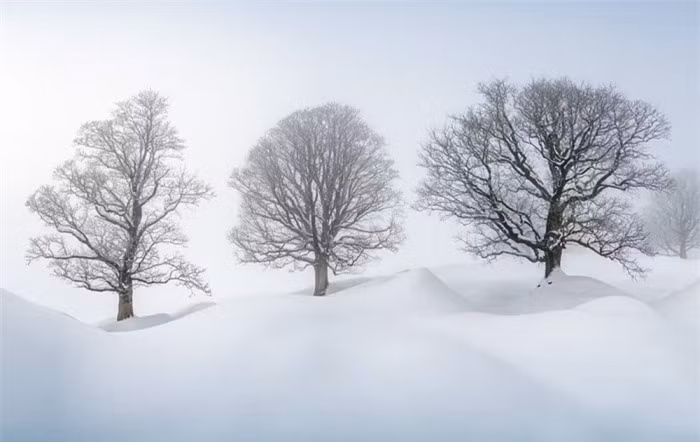 Ve dep long lay thien nhien o noi xa xoi nhat tren Trai dat-Hinh-8