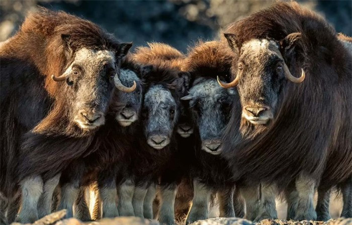 Ve dep long lay thien nhien o noi xa xoi nhat tren Trai dat-Hinh-7