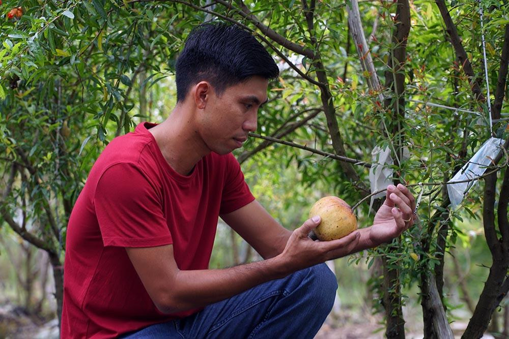 Lieu trong cay la, chang trai mien Tay bat ngo thu 1 ty dong/nam-Hinh-6